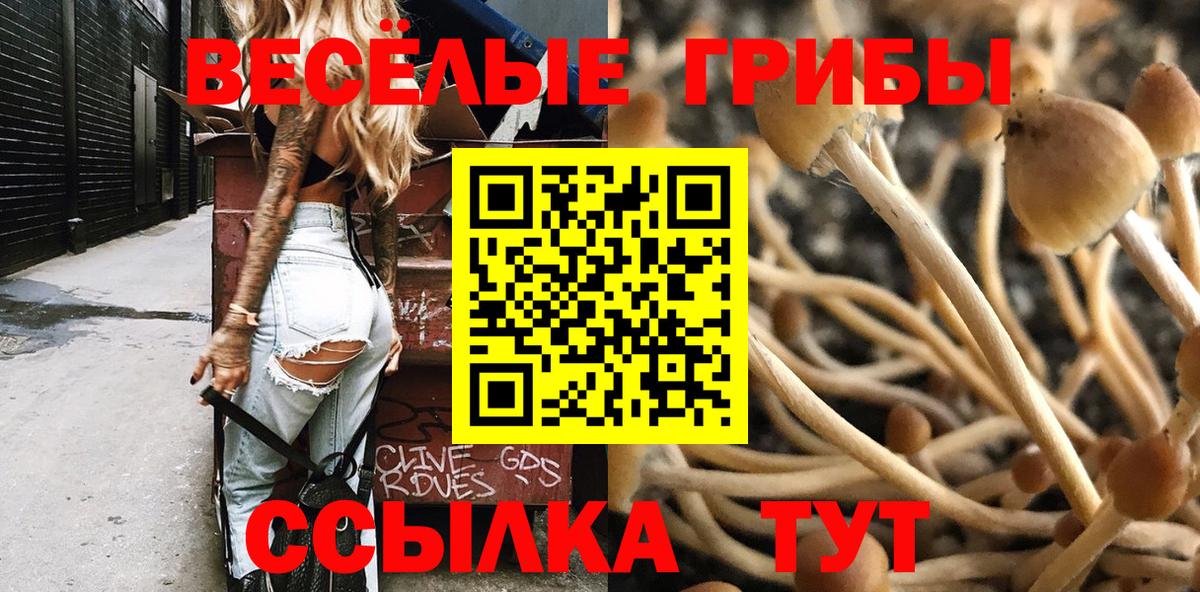 Галлюциногенные грибы мицелий Ейск