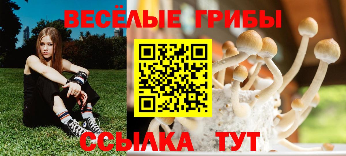 Галлюциногенные грибы GOLDEN TEACHER  Псилоцибиновые грибы ЛСД  Вход с VPN  Ейск 
